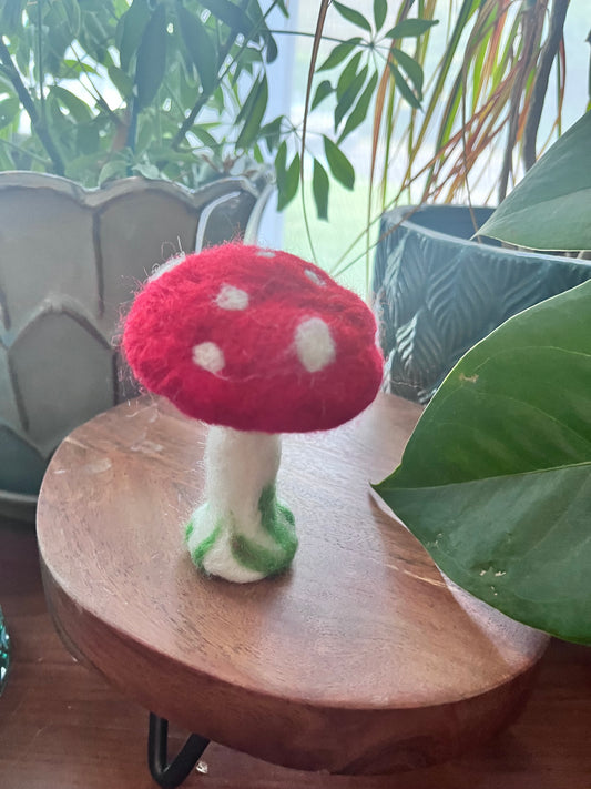 Needle Felted Mushrooms - Saturday, June 6th | 10am