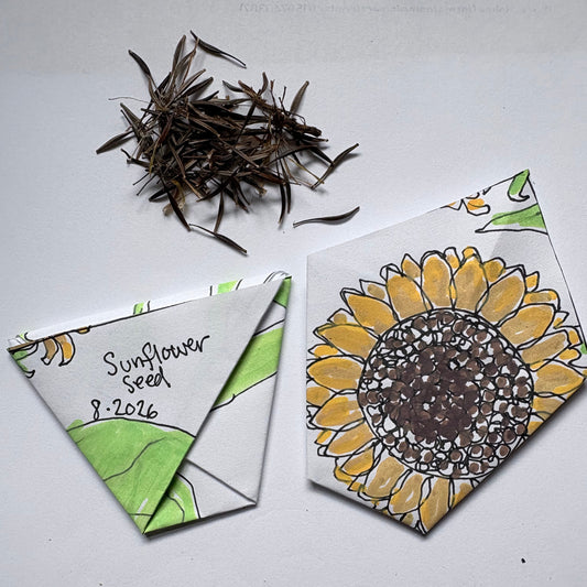 Origami Seed Packets - Friday, October 16th | 6:30pm
