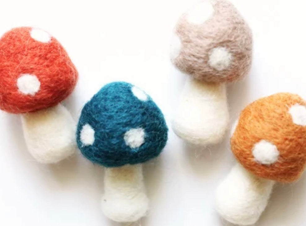 Needle Felted Mushrooms - Saturday, June 6th | 10am