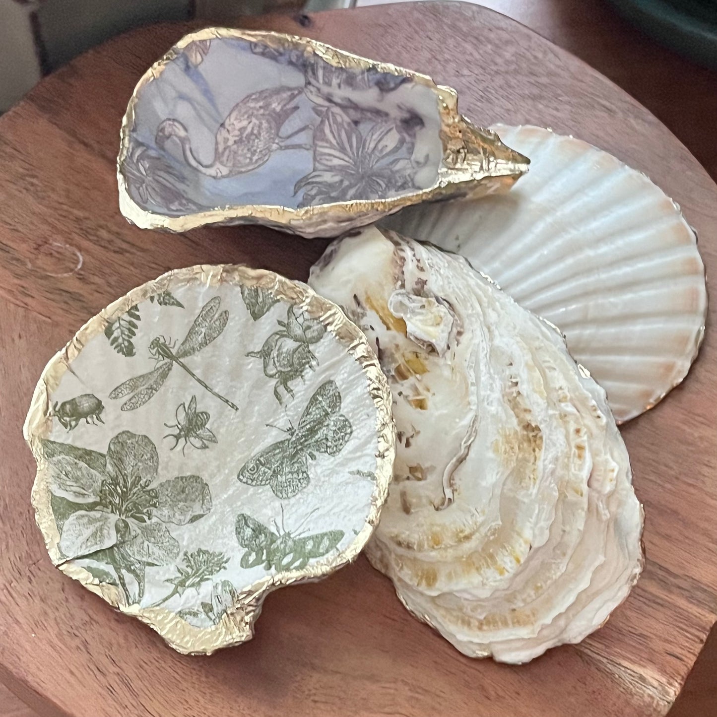 Decoupage Shells - Friday, June 12th | 7pm